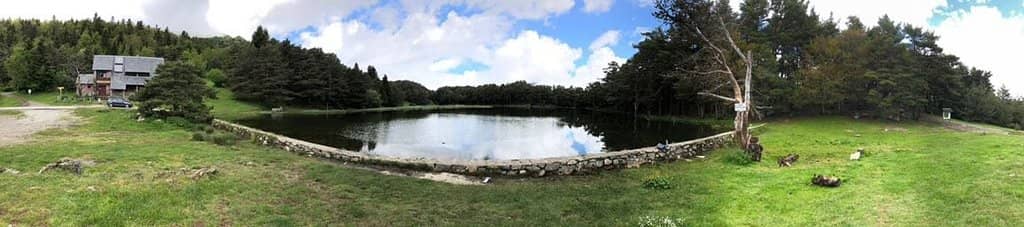 Forest Trekking Routes