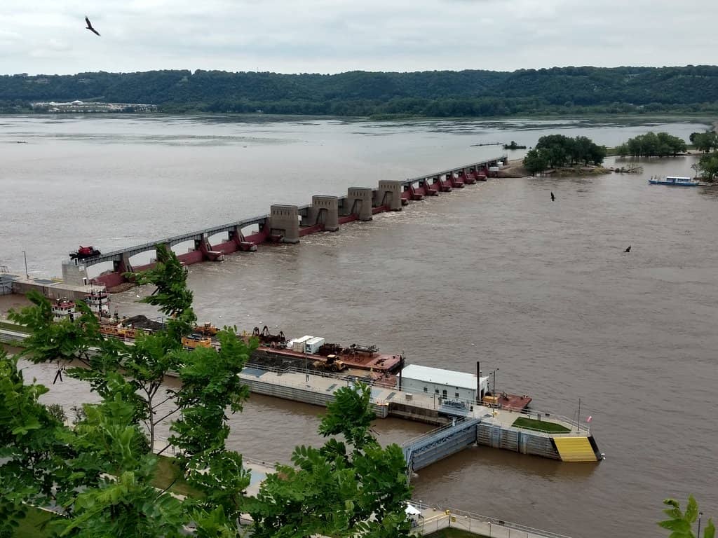 Eagle & Bird Watching