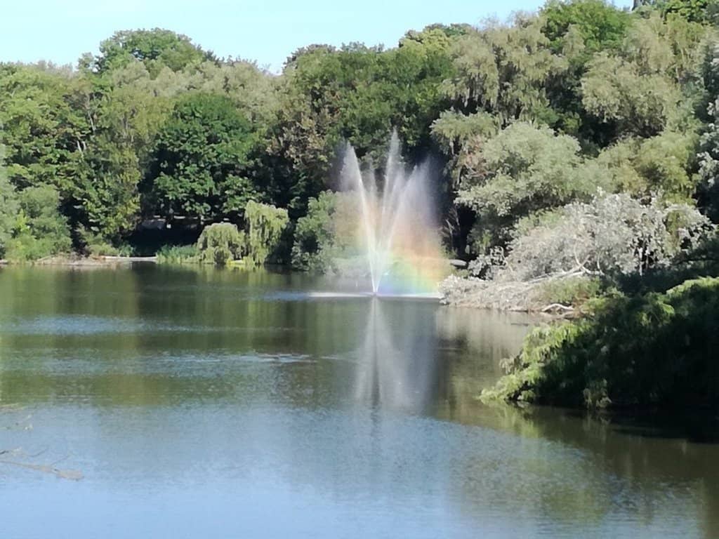 Rusałka Lake & Bridges