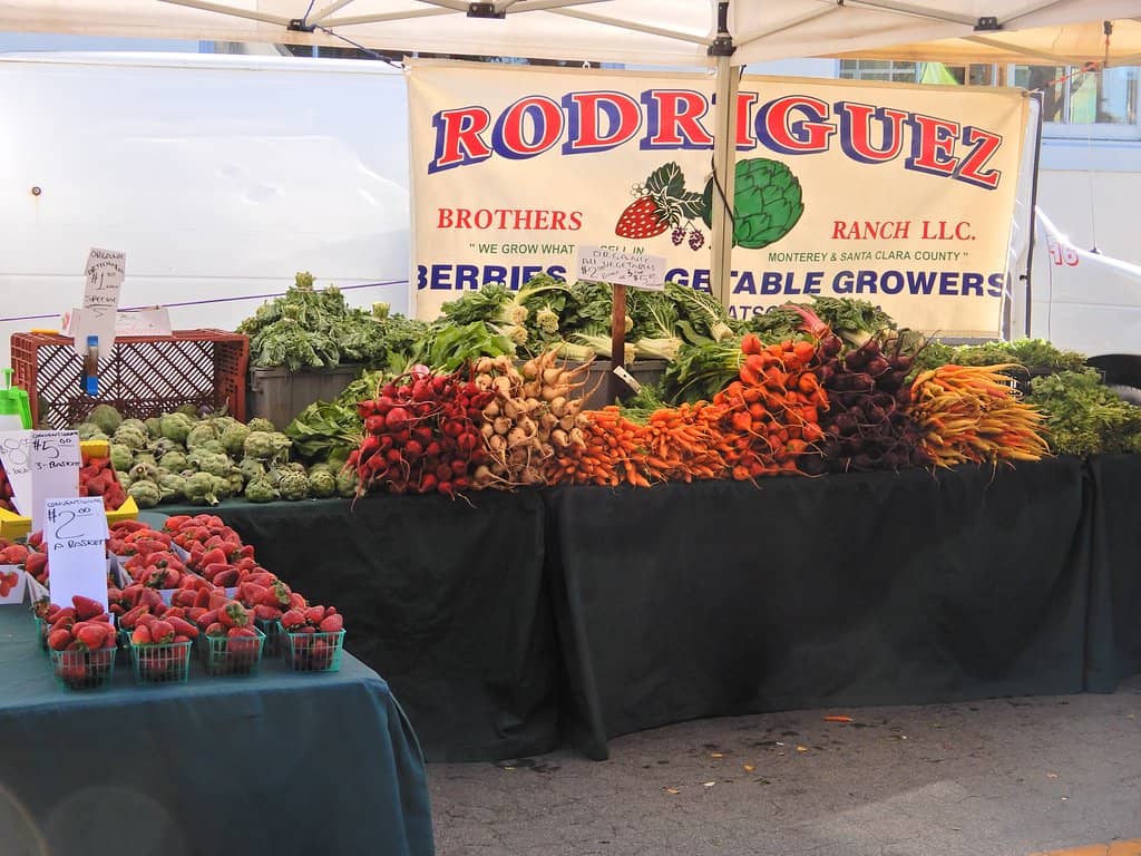 Savory Food Vendors