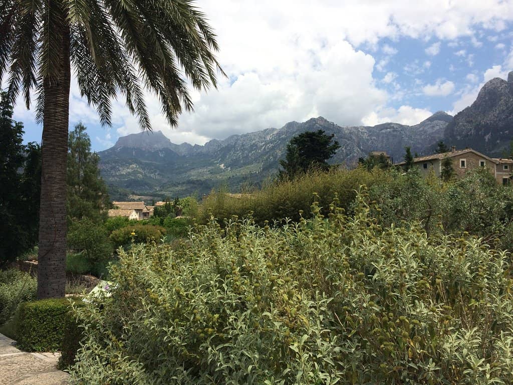 Ancient Mallorca Museum