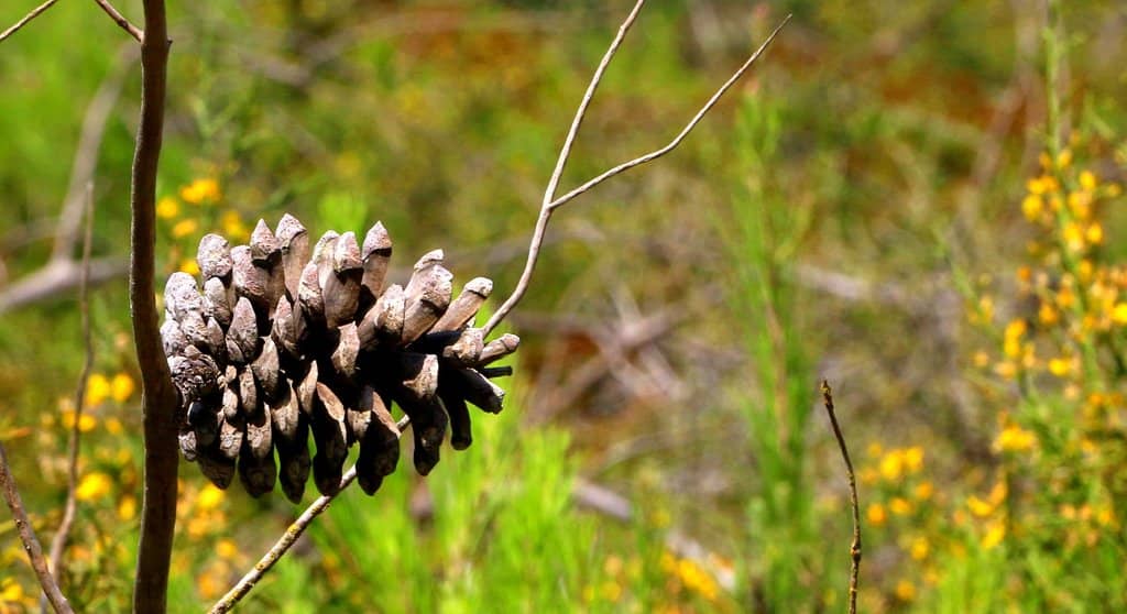 White River Kayak Launch