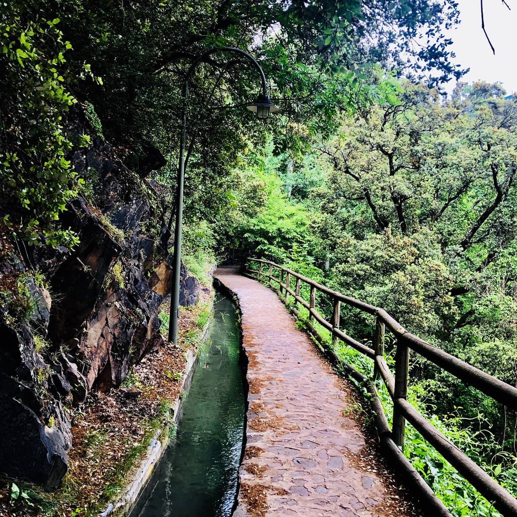 Panoramic City Views