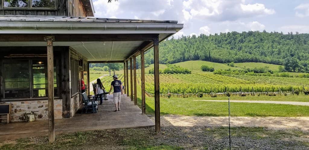 Scenic Vineyard Views