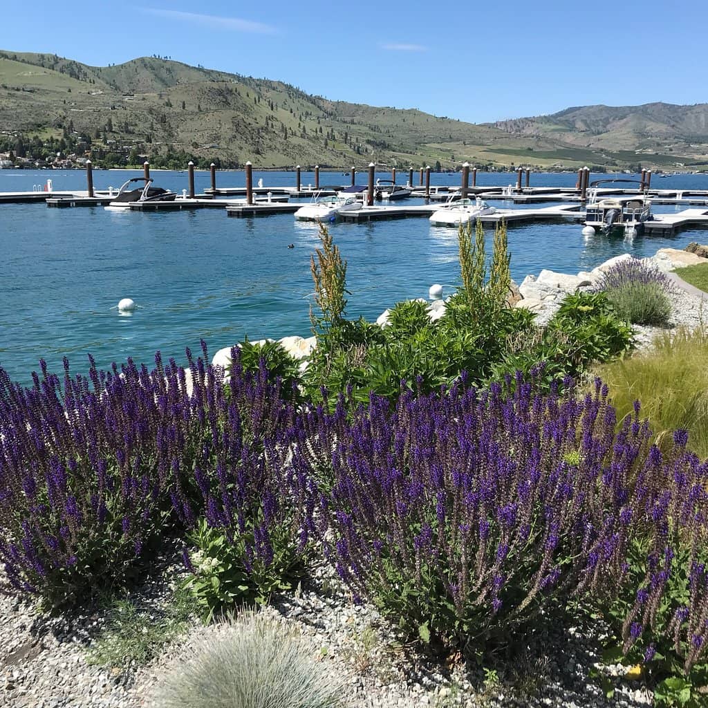 Stehekin Valley Serenity