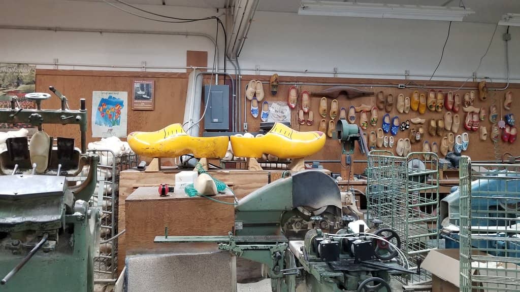 Educational Tulip Varieties