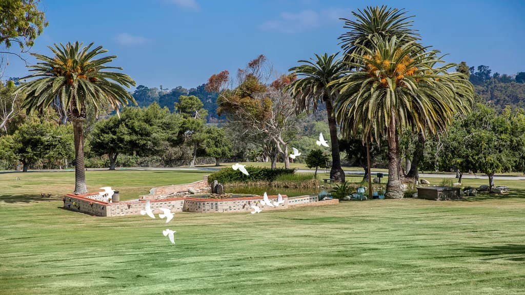 Immaculate Memorial Grounds