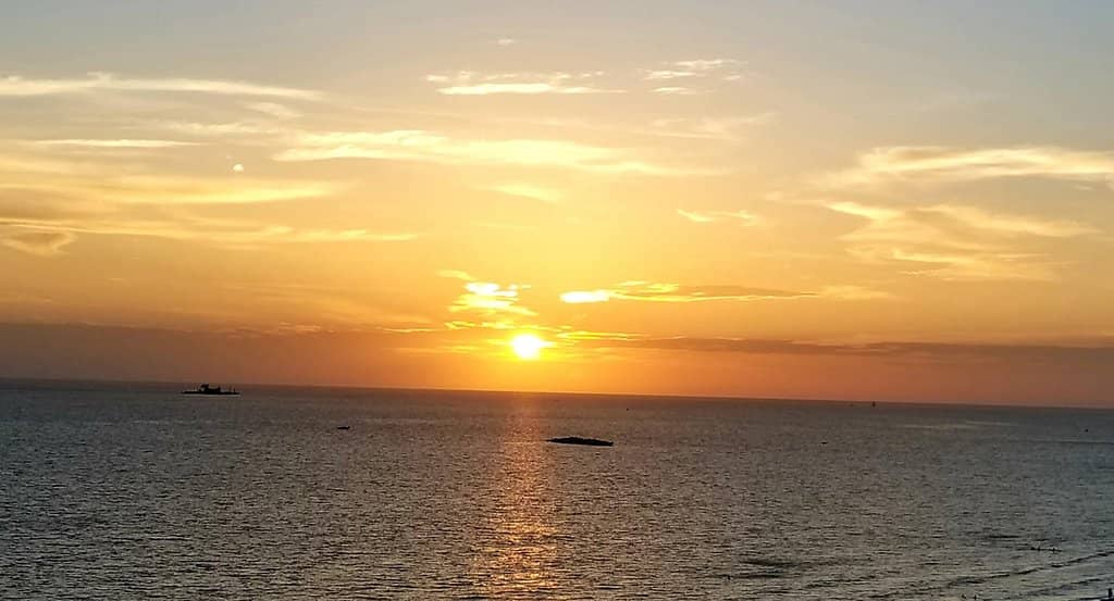 Chic Rooftop Ambiance