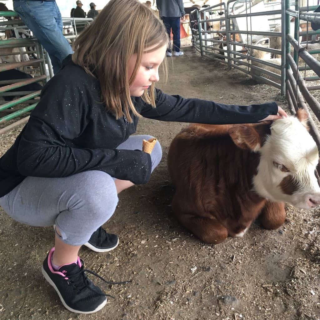 Seasonal Produce Market