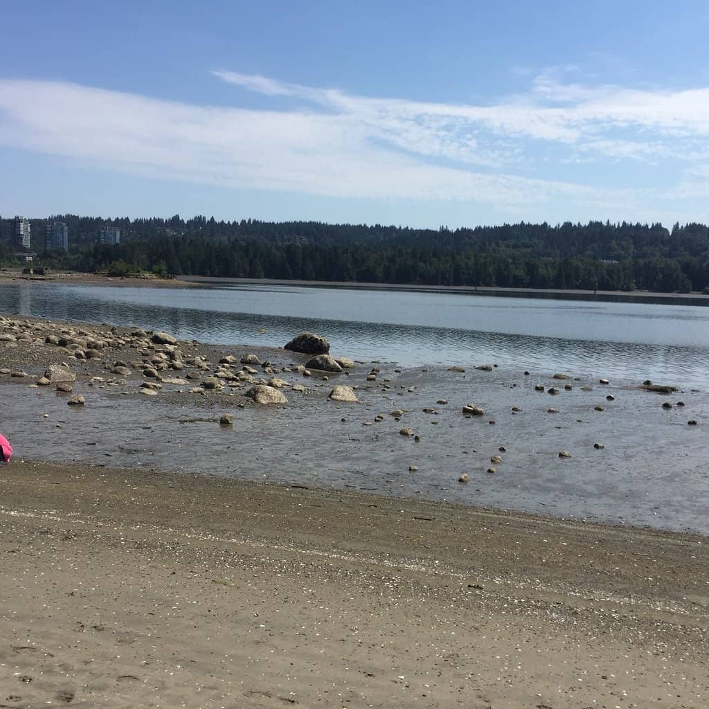 Picnic & Green Spaces