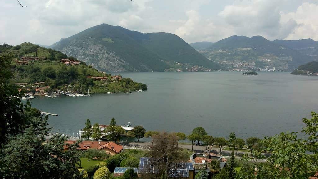 Lush Greenery & Nature