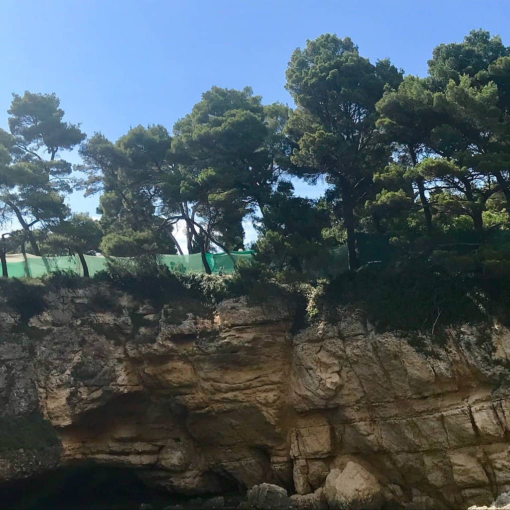 Uninhibited Atmosphere