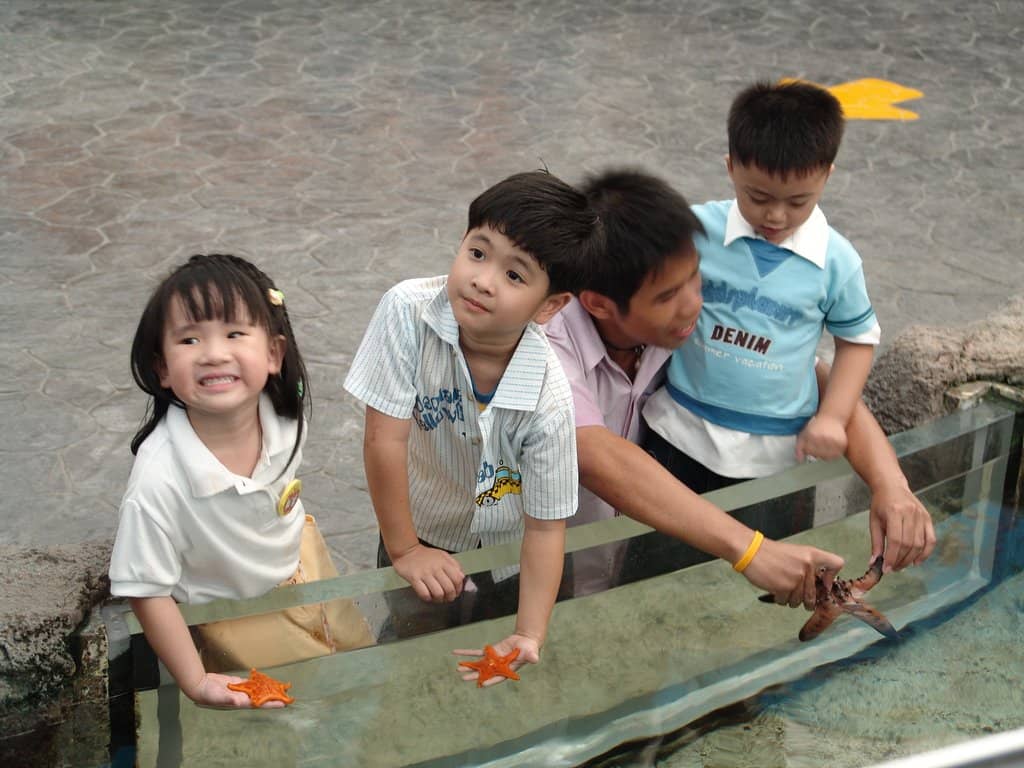 Adorable Stingray Encounters