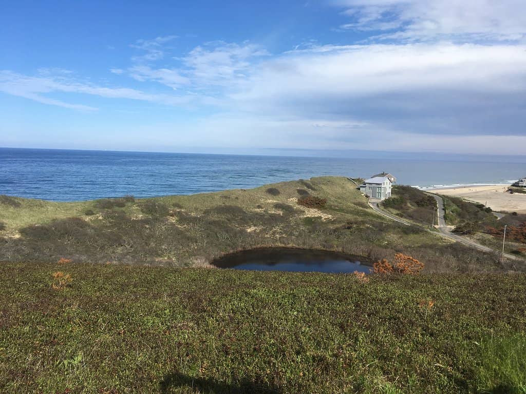 Dune Walk to the Beach