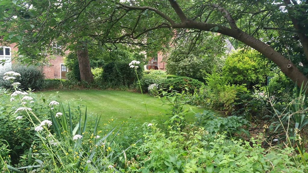 Peaceful Museum Garden
