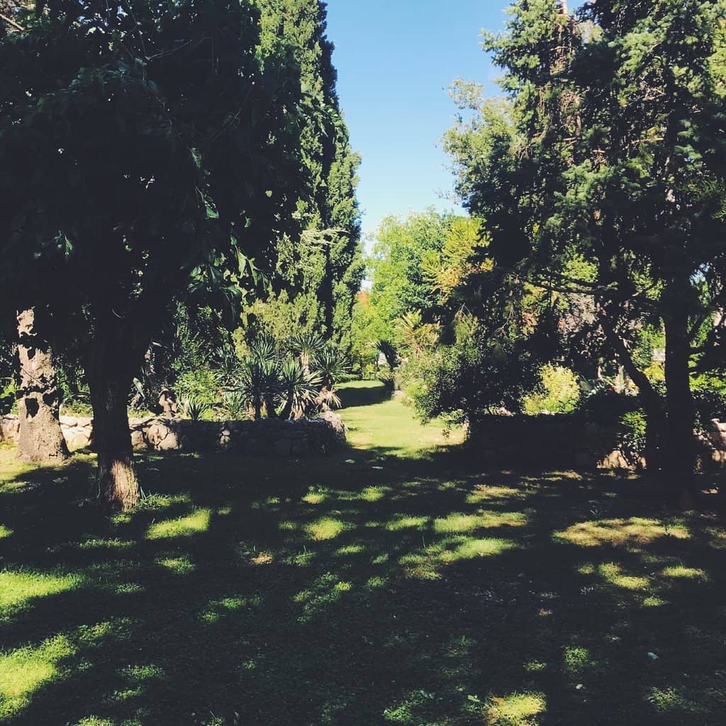 Serene Ponds and Streams