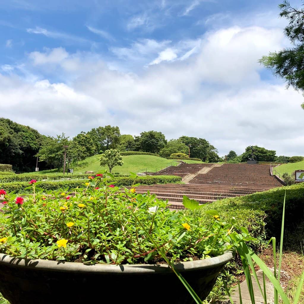 Ecology Park