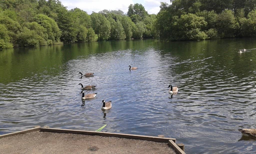 Children's Playgrounds
