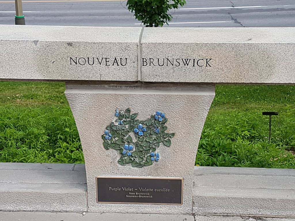 The Central Fountain