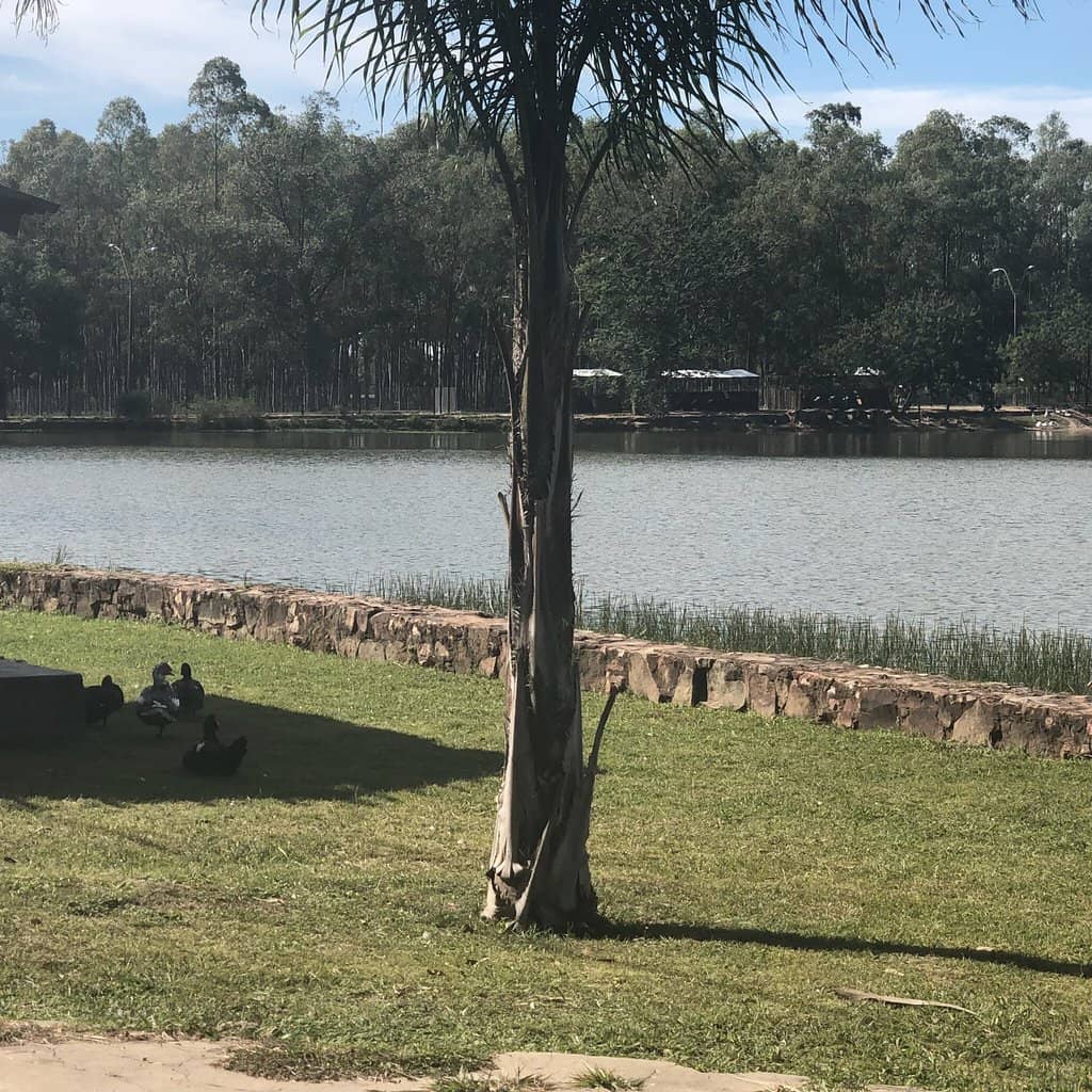 Recreational Activities