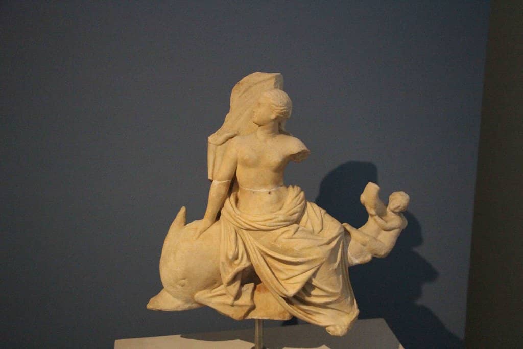 Island History Artifacts