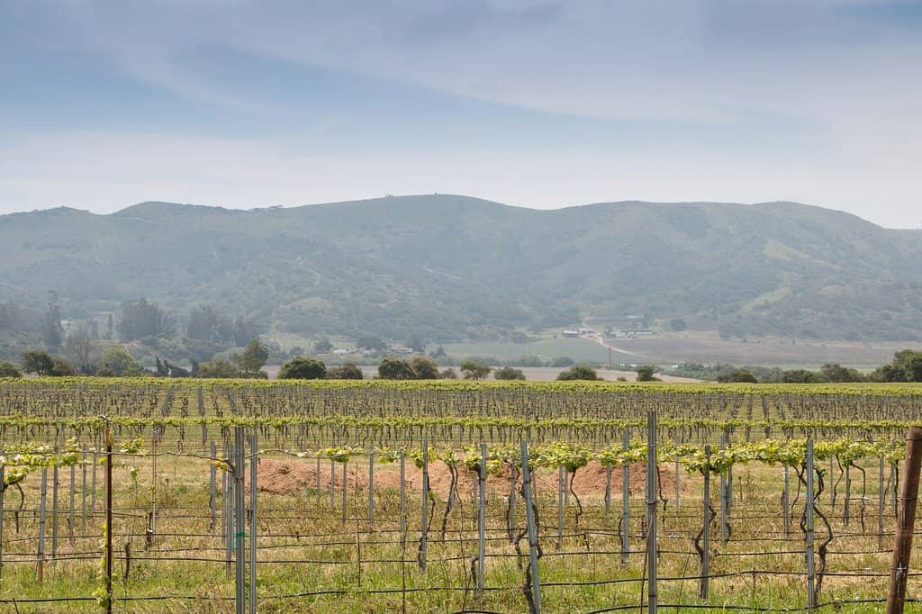 Scenic Countryside Views