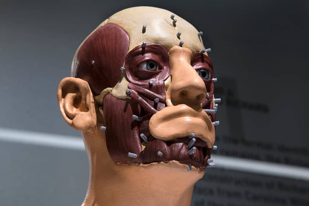 Interactive DNA & Archaeology Exhibits