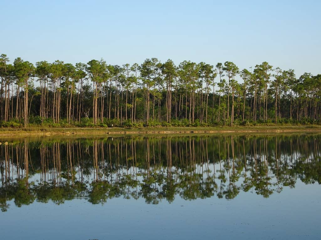 Abundant Hiking Trails