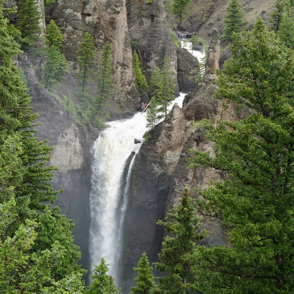 Vertical photo