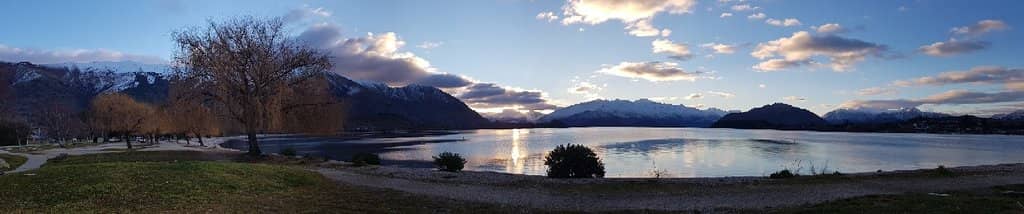 That Wanaka Tree