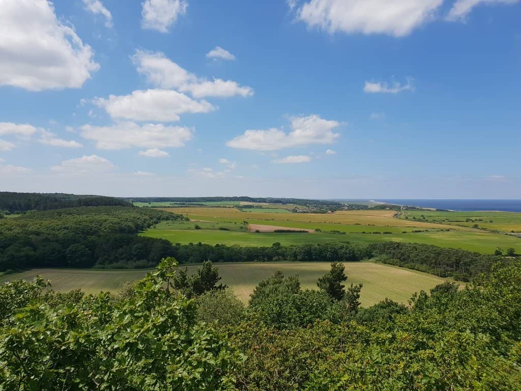 Gazebo Viewing Tower