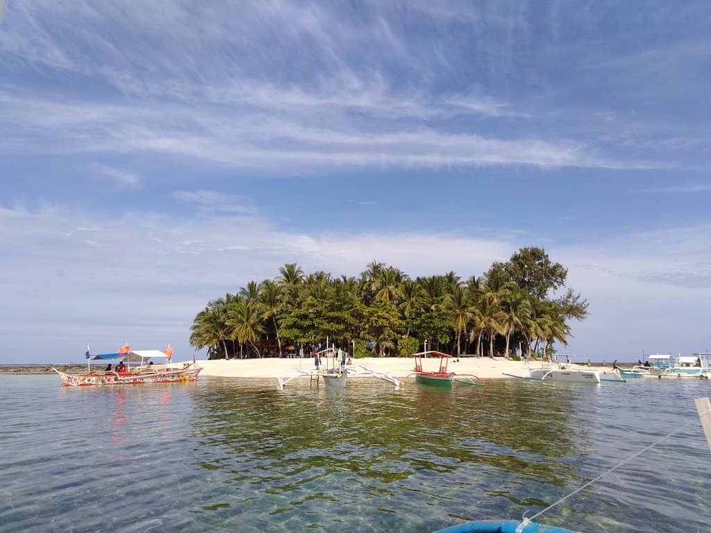 Coconut Grove Serenity