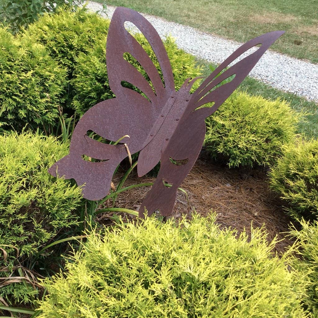 Life Cycle Education