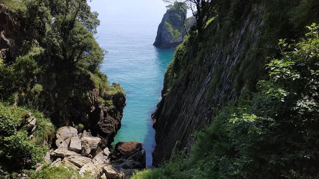 Paleolithic Cave Paintings