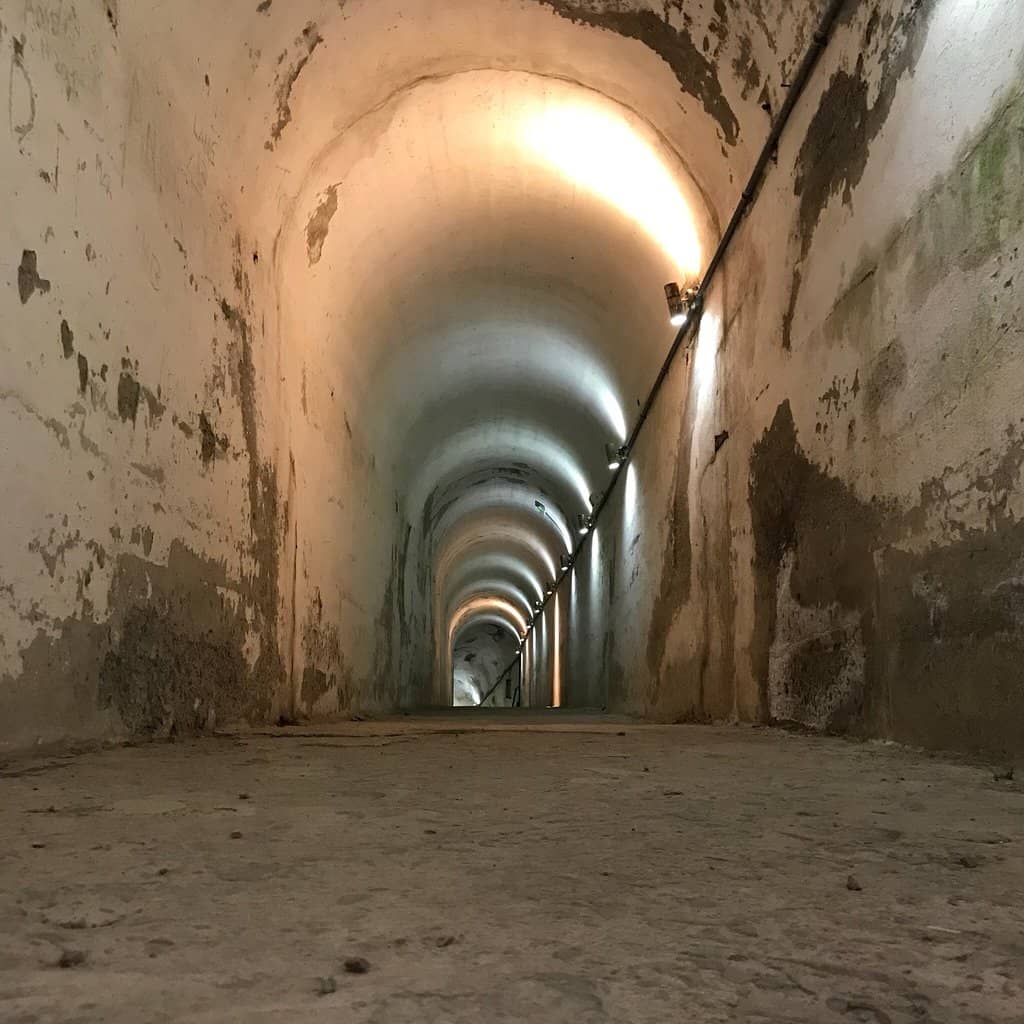 World War I Exhibition