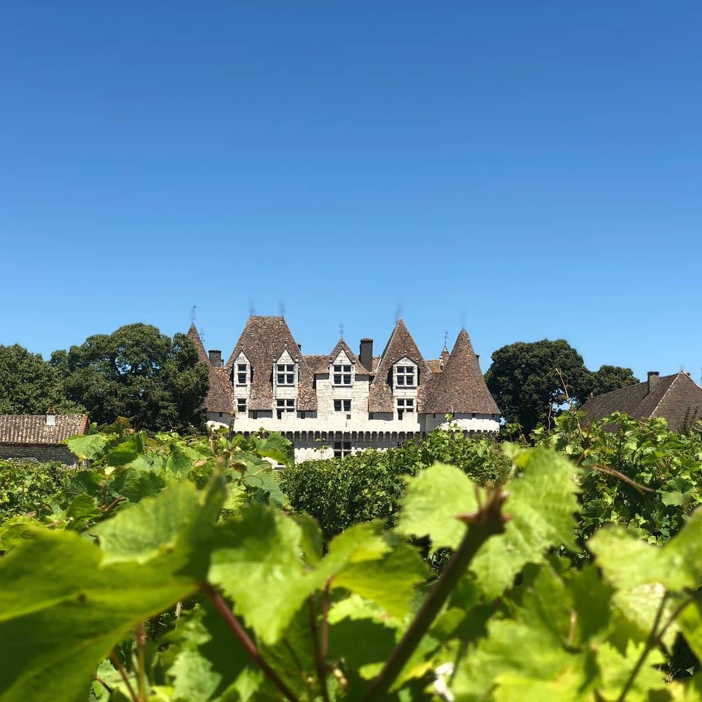 Wine Cellar & Tastings