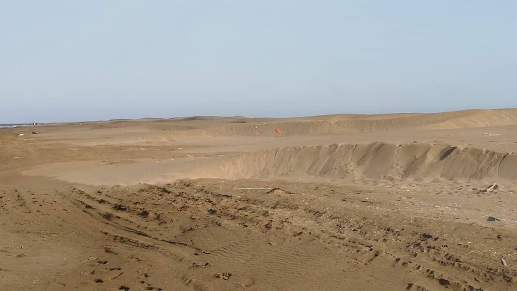Expansive Sandy Beaches