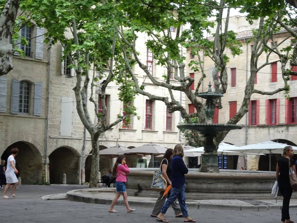 Grenoble's Local Flavors