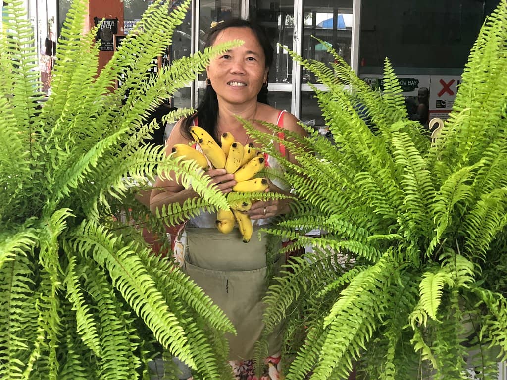 Live Music & Community Vibe