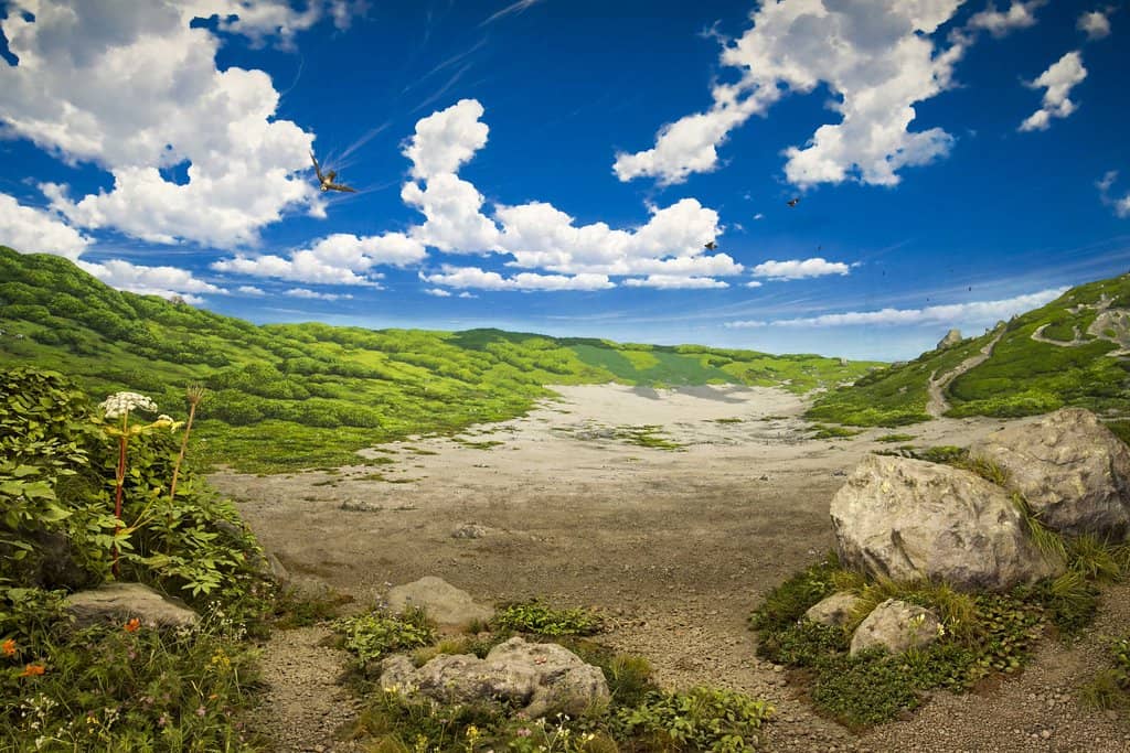 Tochigi History Zones