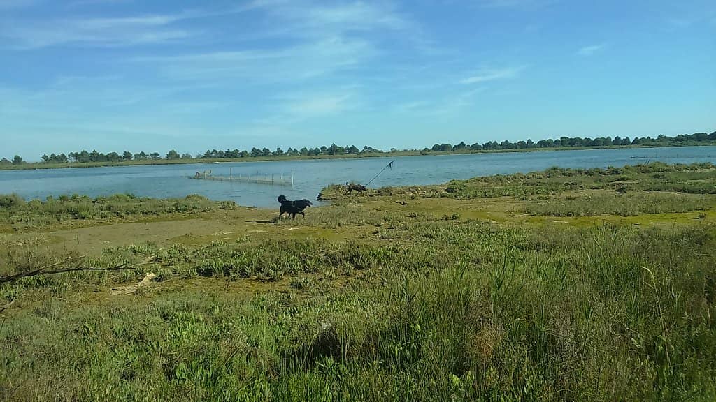 Naturist Beach Experience