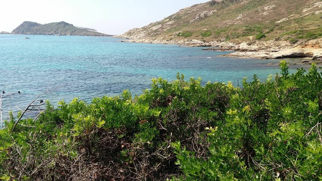 Secluded Coves and Creeks