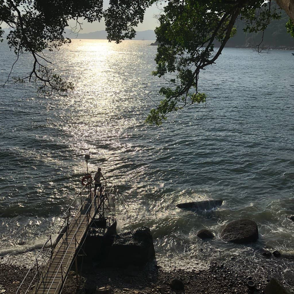 The Iconic Swimming Shed