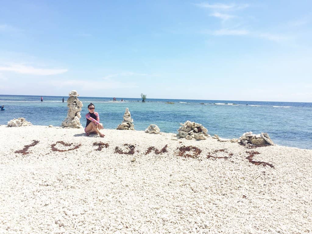 Abundant Marine Life