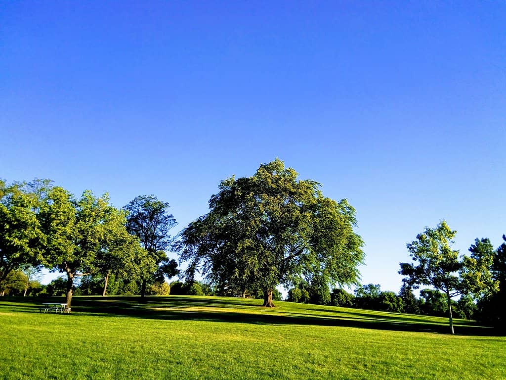 Twin Silos Playground