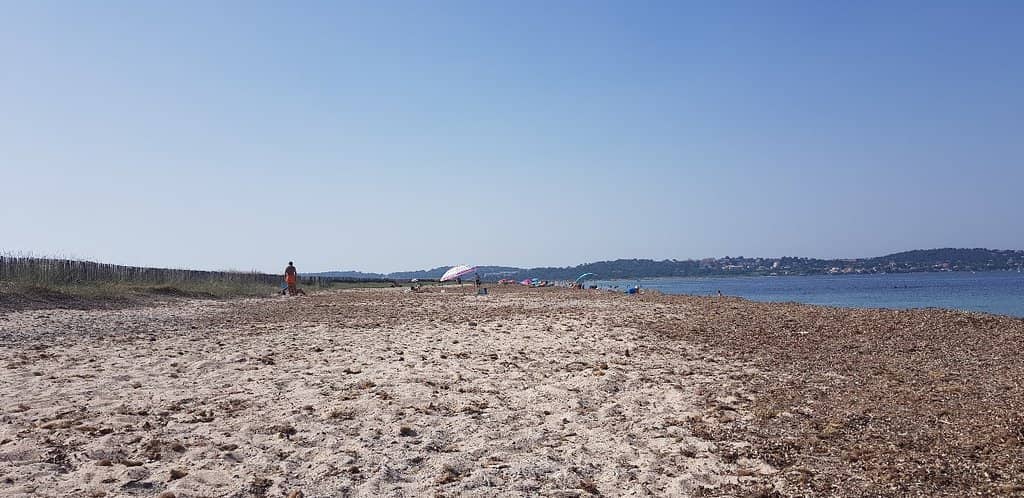 Expansive Sandy Shore