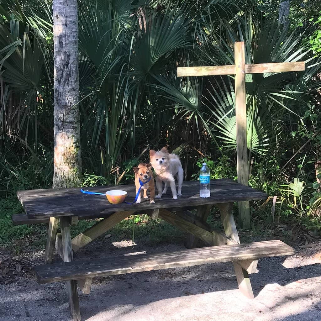 Chief Tomokie Statue