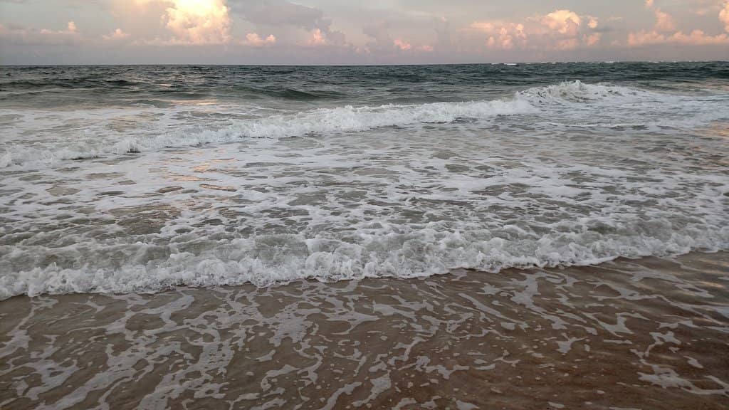 Coquina Shell Hunting