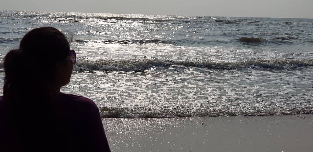 Kite Festival Spectacle