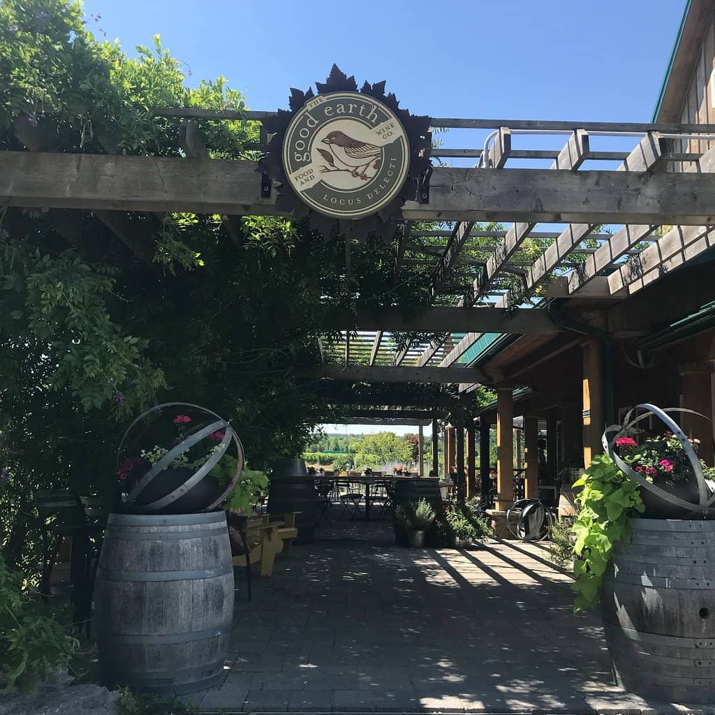 Live Music & Relaxed Vibes